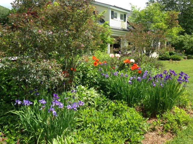 517 Lower Hollow Road Dorset, VT 05251 - Photo 30 of 38 Gallery Image 30