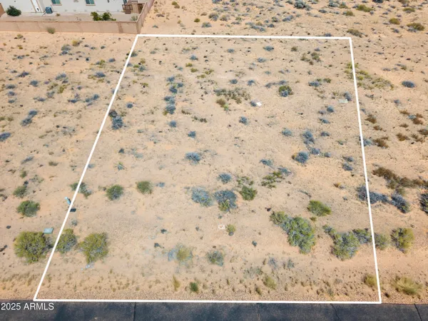 view of a backyard