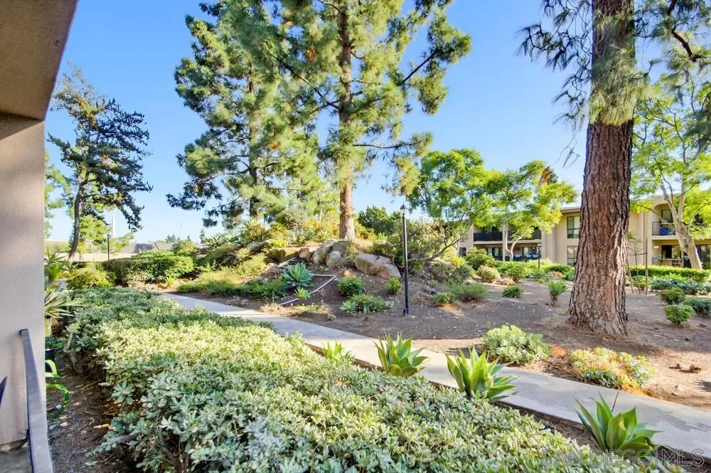 7858 Cowles Mountain Court, Unit D7 San Diego, CA 92119 - Photo 32 of 40 a view of a yard with a tree