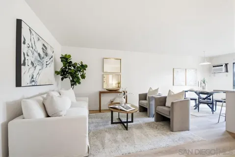 a living room with furniture and a potted plant
