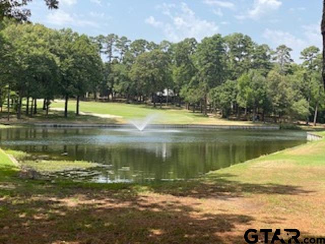 Tbd Lamplight Path Holly Lake Ranch, TX 75765 - Photo 13 of 15 a view of lake