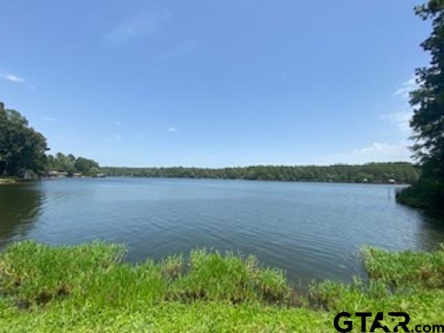 Tbd Lamplight Path Holly Lake Ranch, TX 75765 - Photo 15 of 15 a view of a lake from a yard