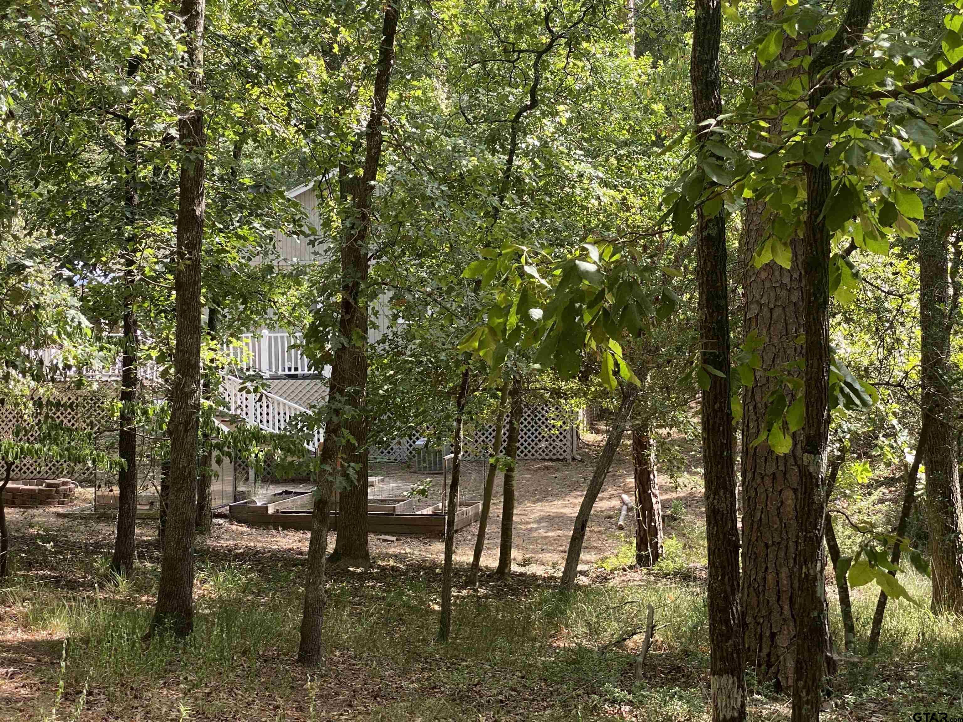 Tbd Lamplight Path Holly Lake Ranch, TX 75765 - Photo 2 of 15 a view of lake