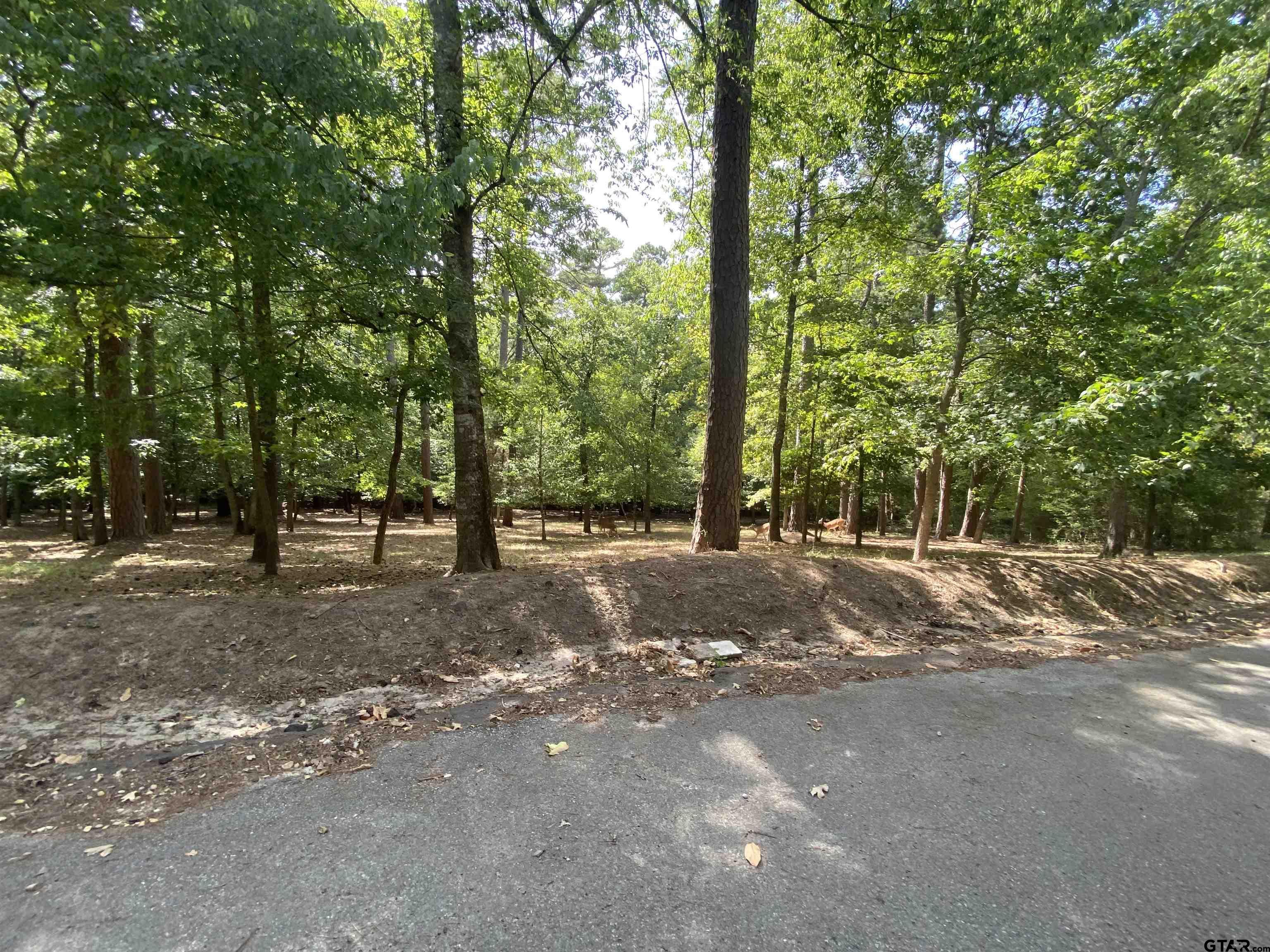 Tbd Lamplight Path Holly Lake Ranch, TX 75765 - Photo 4 of 15 a view of a road with trees