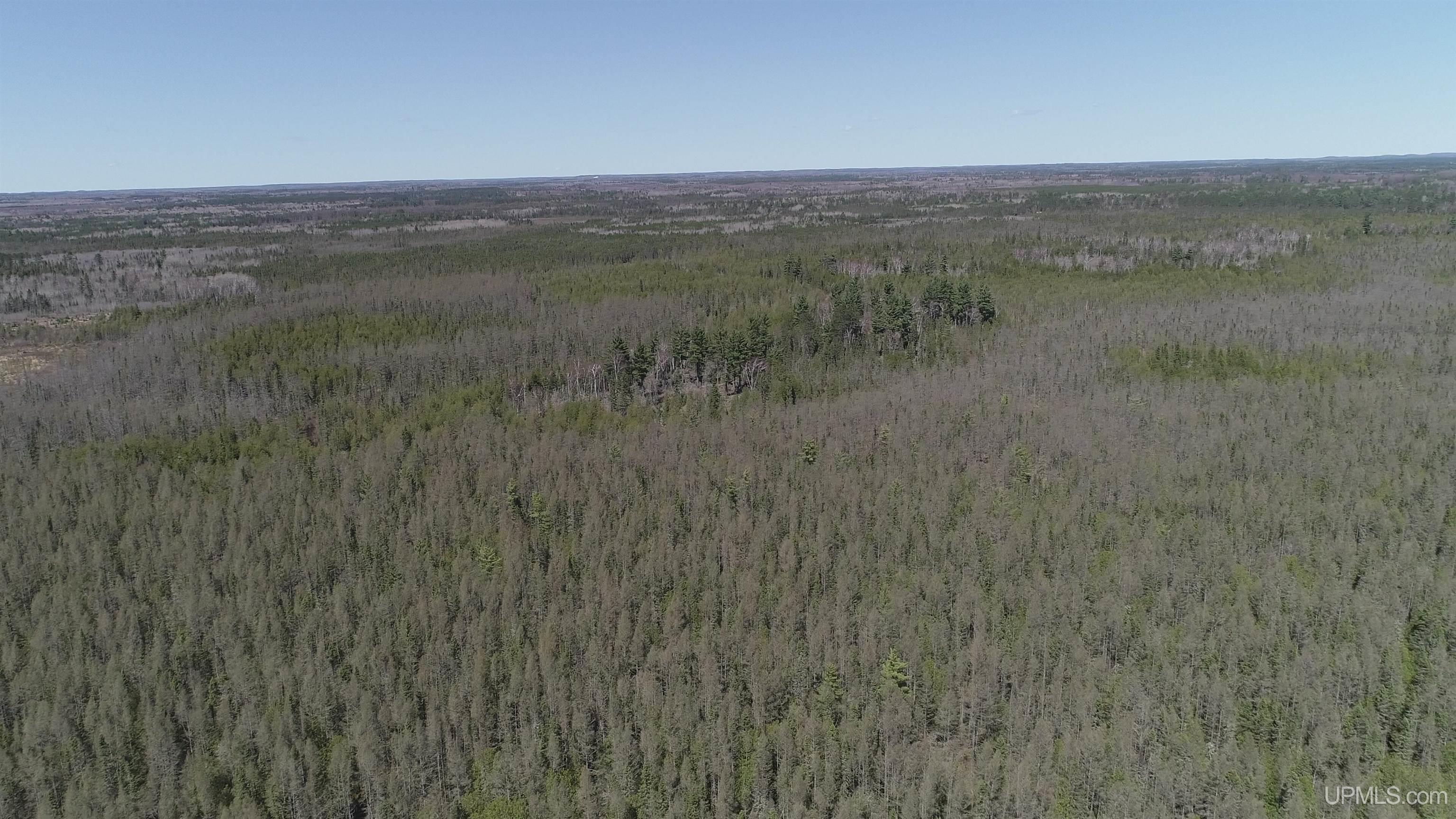 252-acres 252-acres Helen Lake Road Ishpeming, MI 49849 - Photo 4 of 11