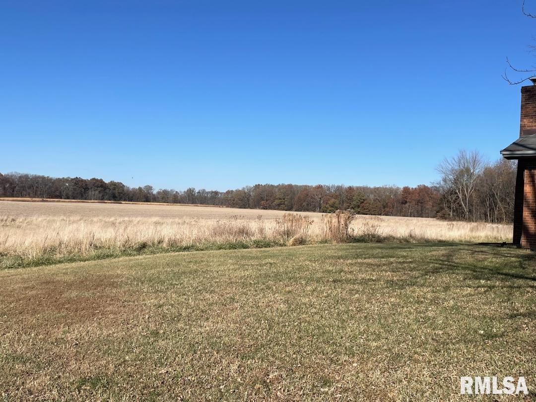 6225 Greenwood Road Centralia, IL 62801 - Photo 4 of 15