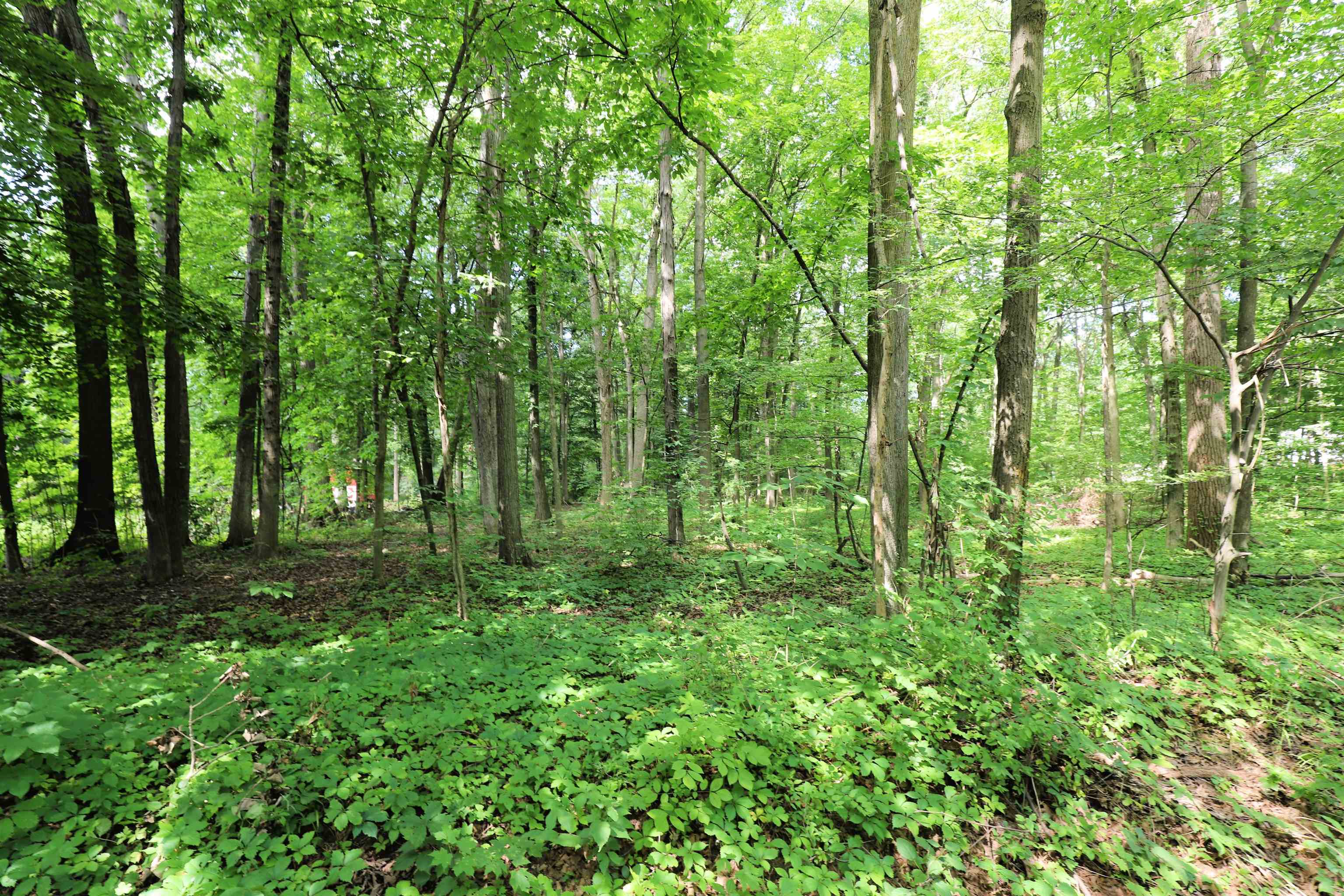 6334 Brewer Road Flint, MI 48507 - Photo 6 of 6