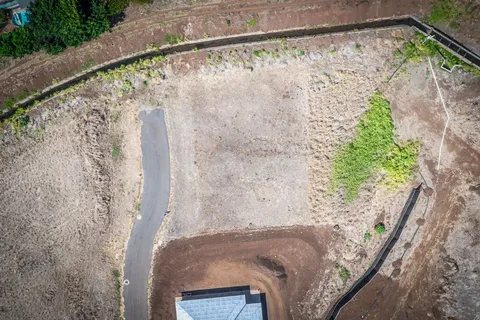 a view of a balcony with plant