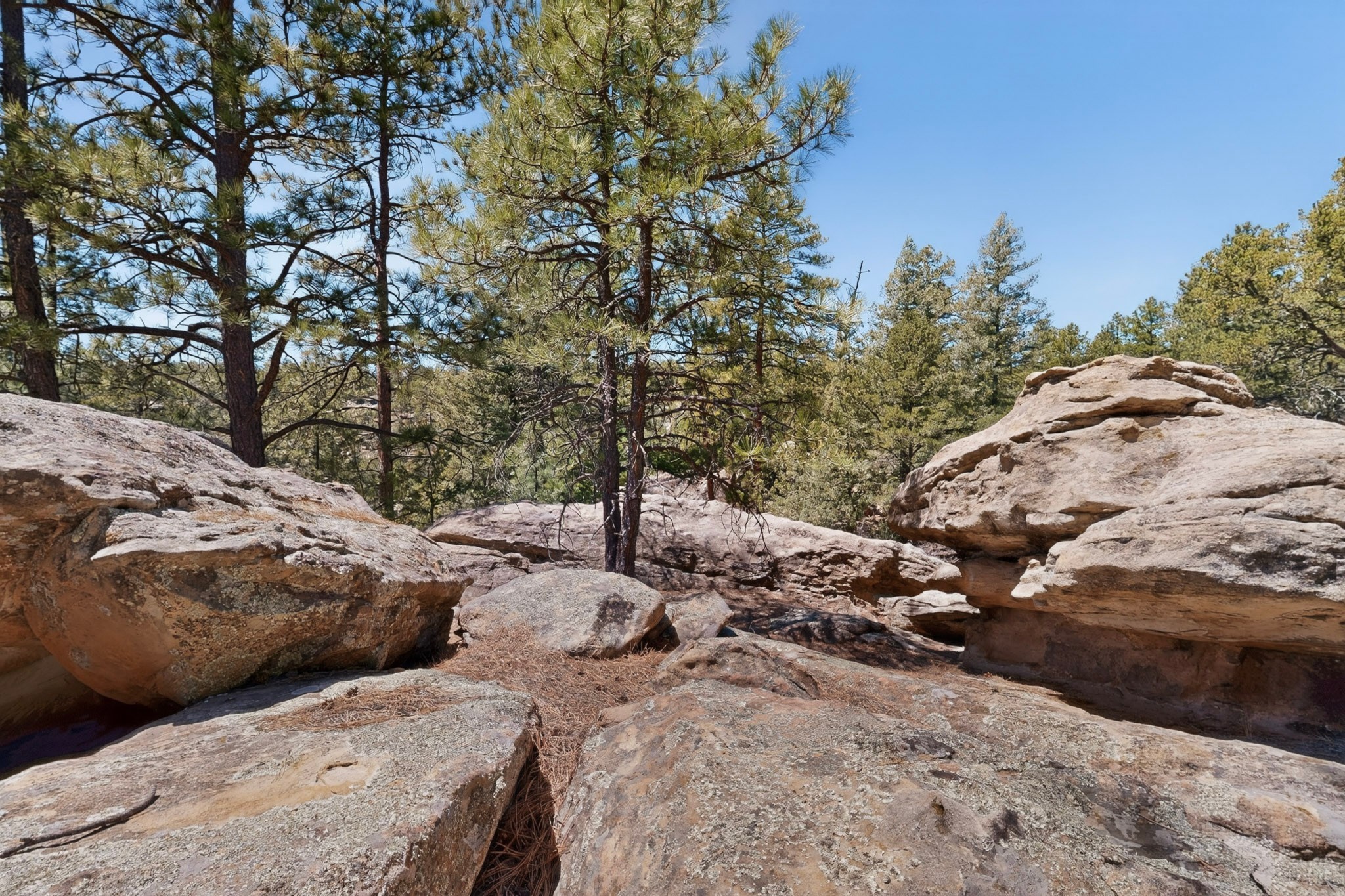30 Monte La Cueva Road Glorieta, NM 87535 - Photo 40 of 91