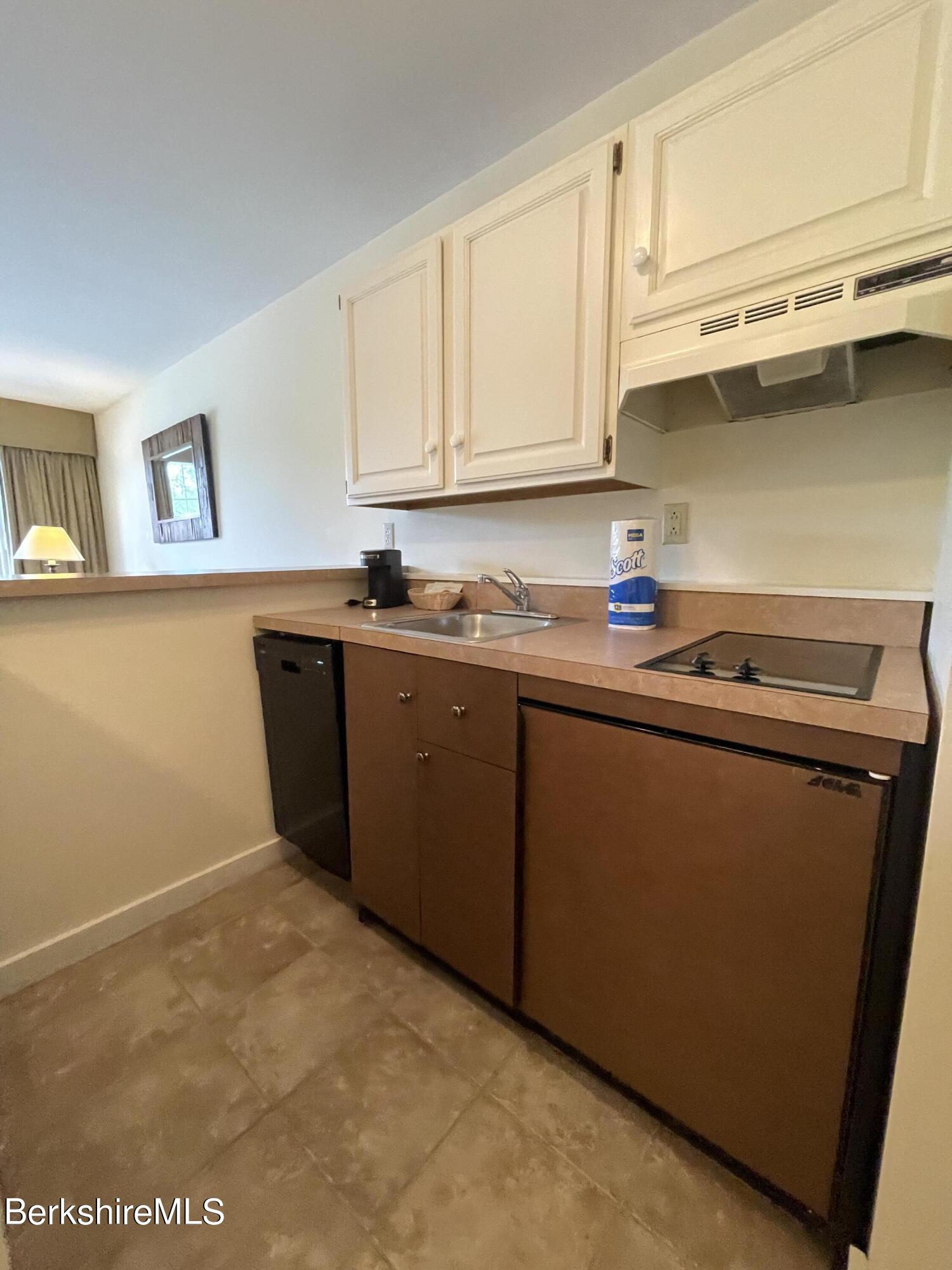 37 Corey Road, Unit 520 Hancock, MA 01237 - Photo 12 of 15 IMG_3979