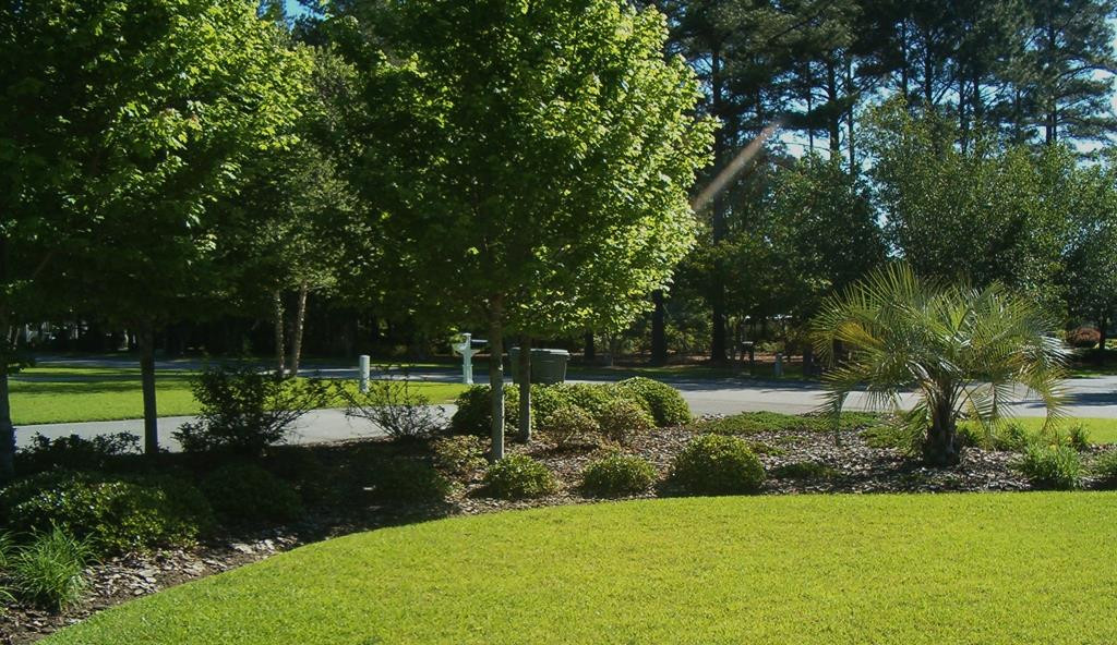 225 Deerwood Road Barnwell, SC 29812 - Photo 29 of 30