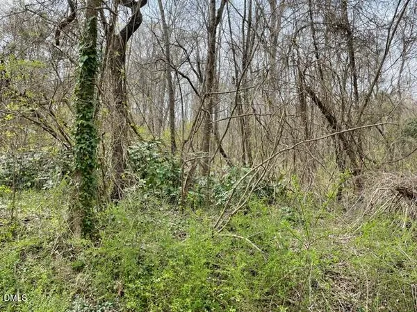 $55,000 | Tbd Old Walker Mill Road, Randleman, NC 27317