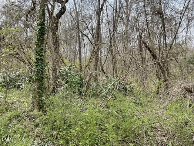 Tbd Old Walker Mill Road Randleman, NC 27317 - Photo 2 of 4 IMG_2497