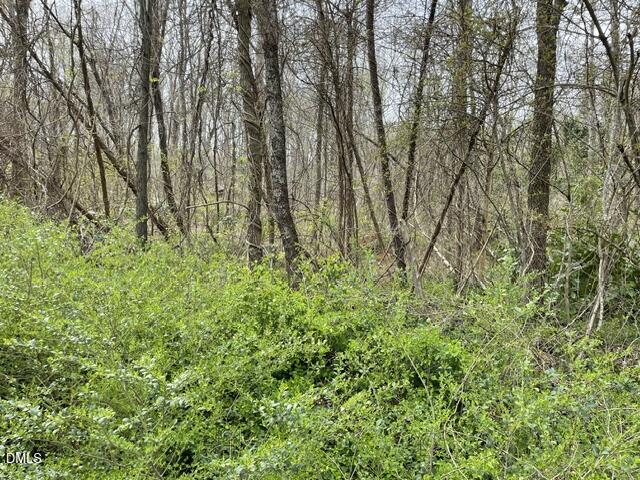 Tbd Old Walker Mill Road Randleman, NC 27317 - Photo 3 of 4 IMG_2500