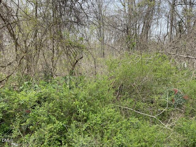 Tbd Old Walker Mill Road Randleman, NC 27317 - Photo 4 of 4 IMG_2499