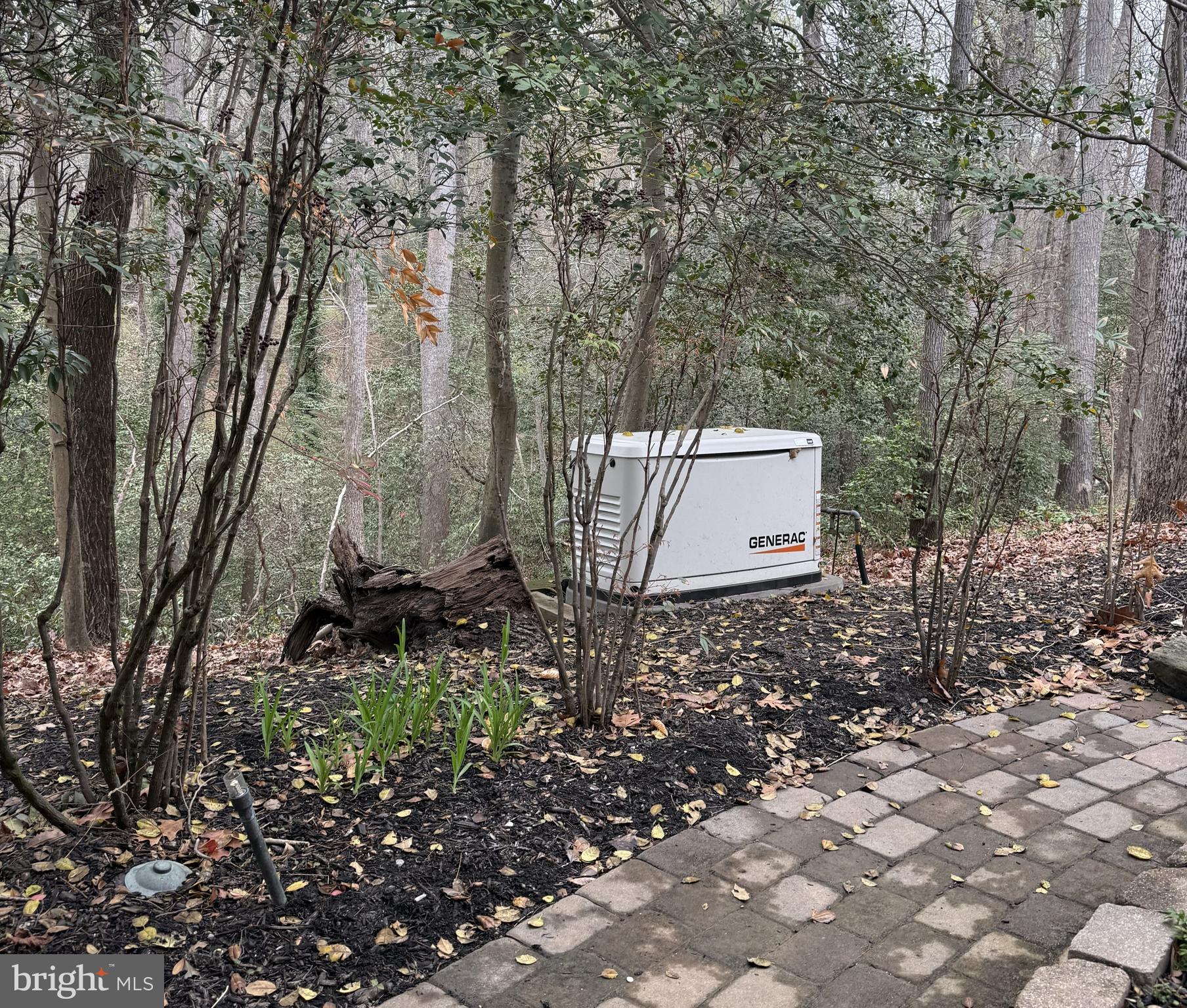 126 Gilbert Court Edgewater, MD 21037 - Photo 18 of 23 New Generator