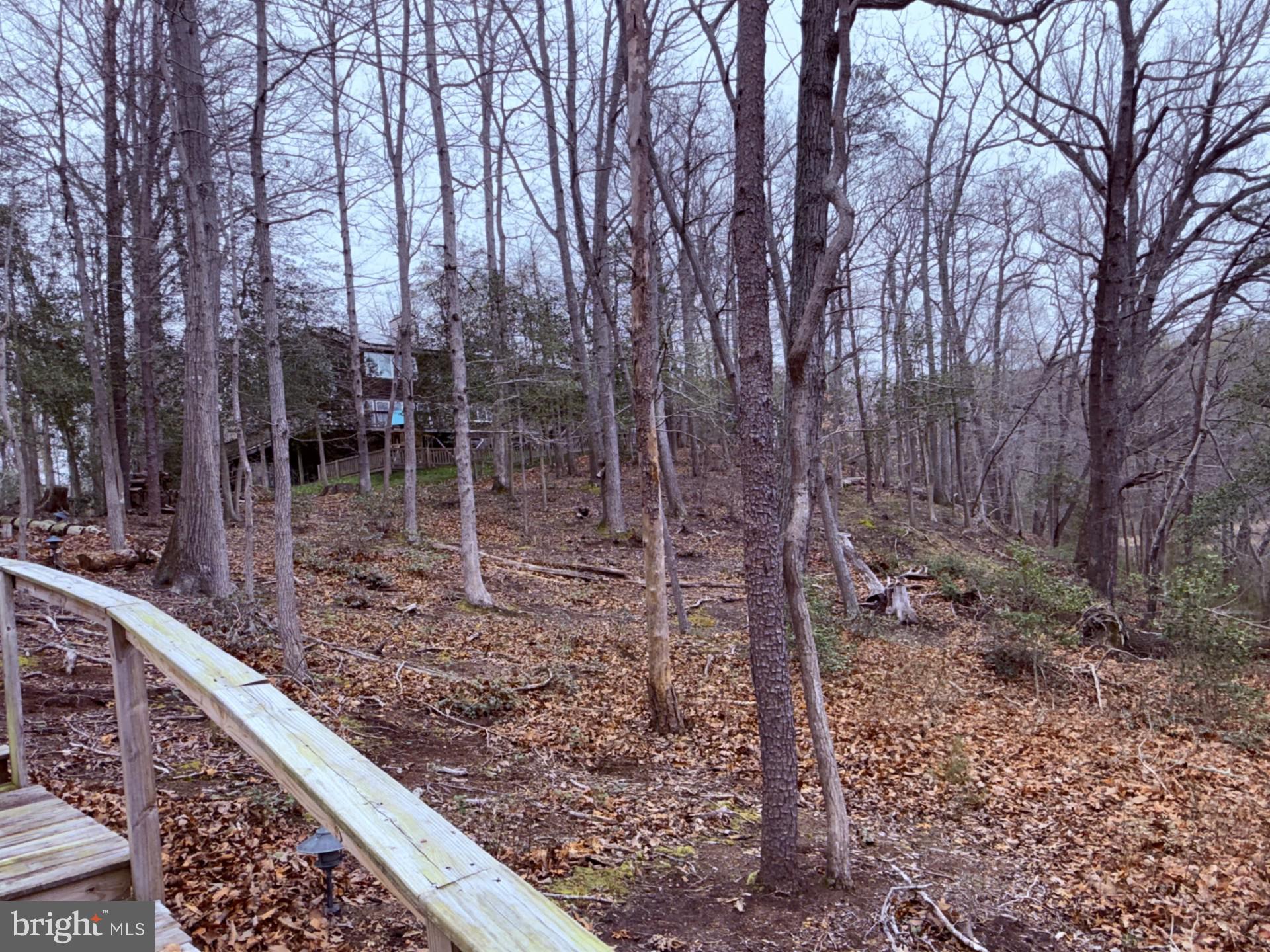 126 Gilbert Court Edgewater, MD 21037 - Photo 22 of 23 Looking up to the house