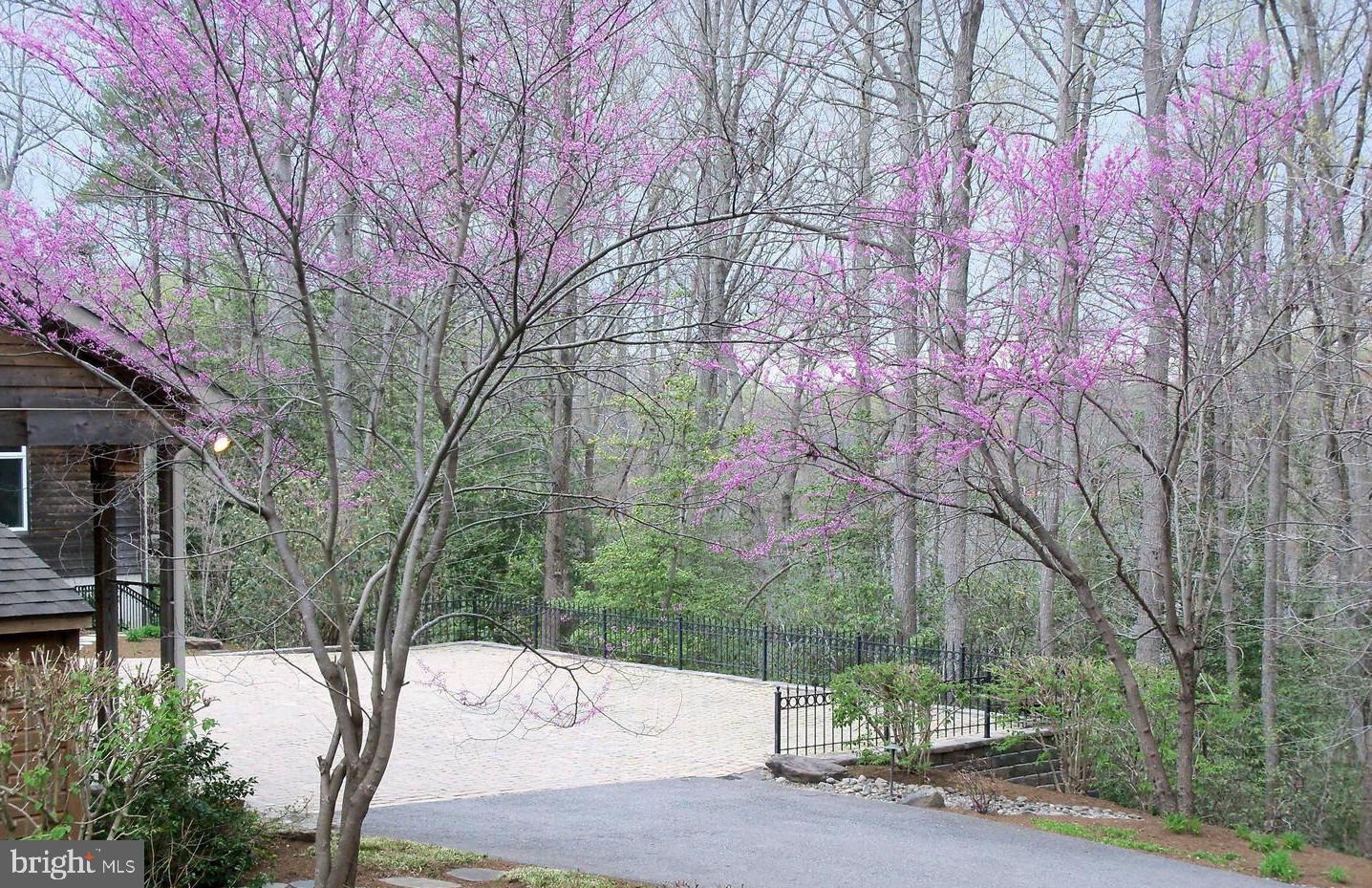 126 Gilbert Court Edgewater, MD 21037 - Photo 3 of 23