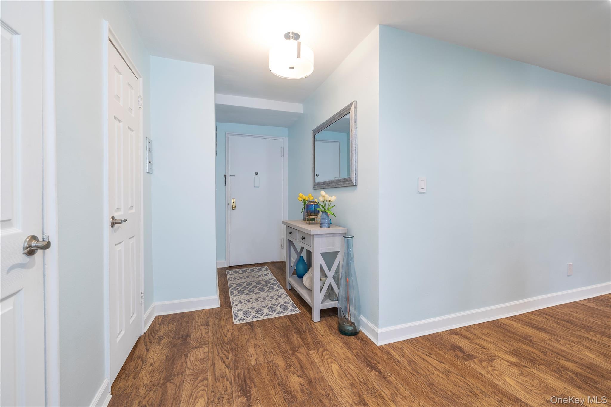 250 West Merrick Road, Unit 1E Freeport, NY 11520 - Photo 12 of 23 Entry hall.