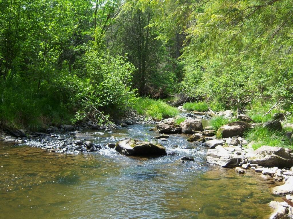 104 Baker Road Winterport, ME 04496 - Photo 33 of 34 Photo