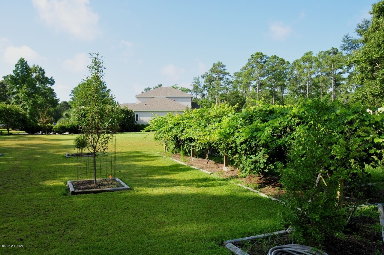 301 Sandy Point Drive Beaufort, NC 28516 - Photo 14 of 52 The Grounds