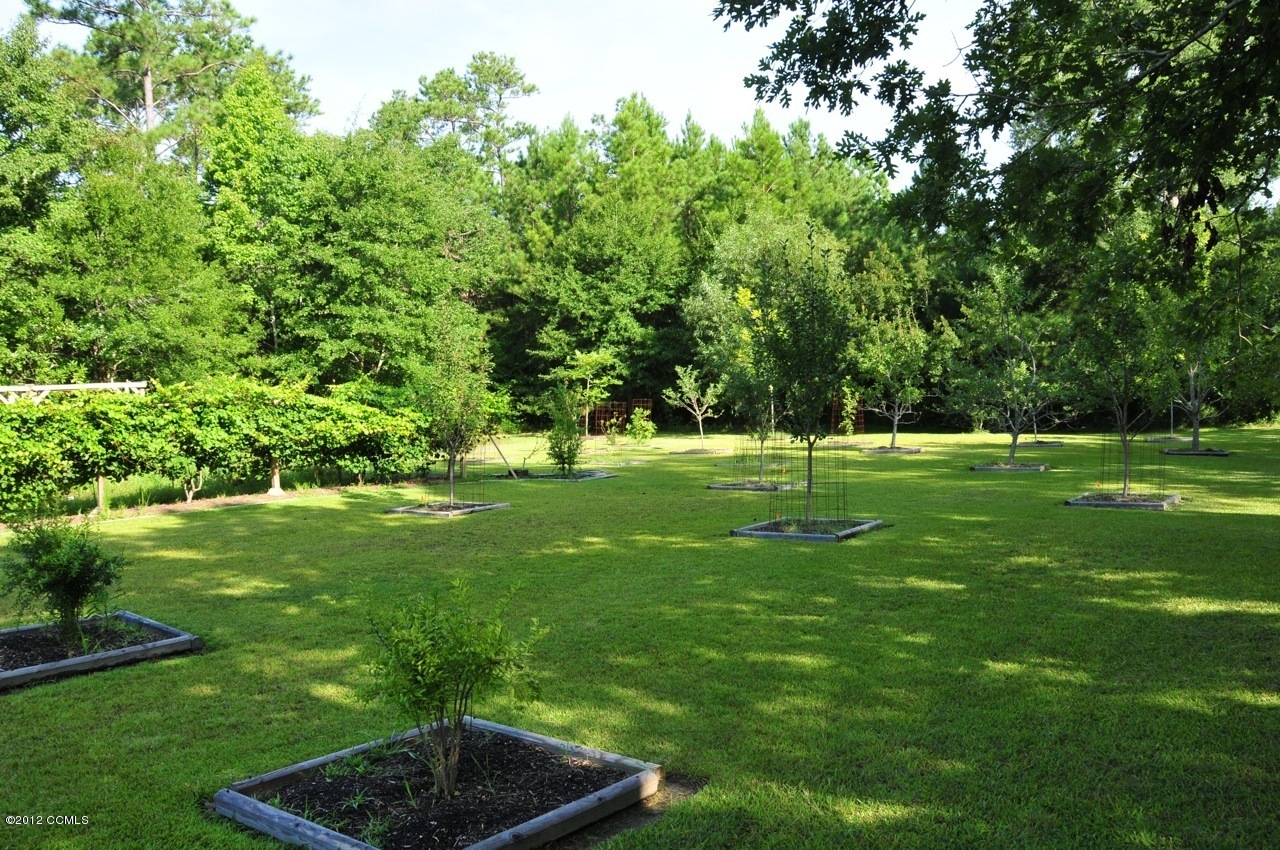 301 Sandy Point Drive Beaufort, NC 28516 - Photo 15 of 52 The Grounds