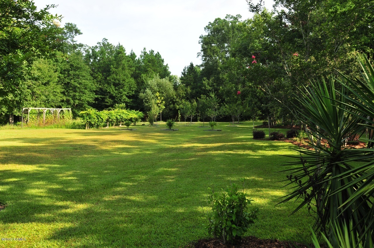 301 Sandy Point Drive Beaufort, NC 28516 - Photo 16 of 52 The Grounds