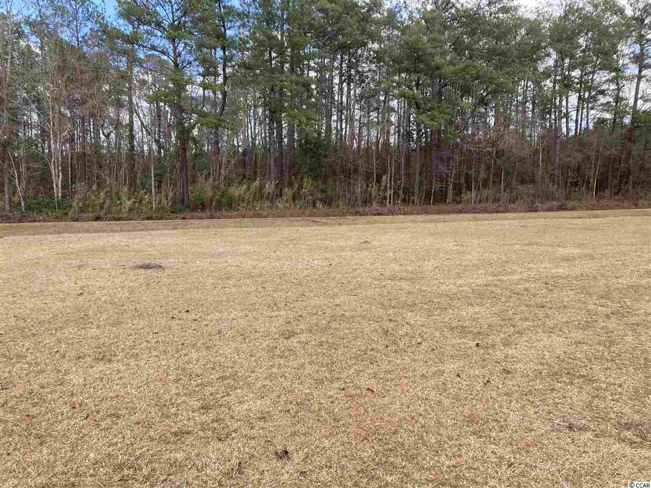 100 Scott Road Hemingway, SC 29554 - Photo 13 of 16