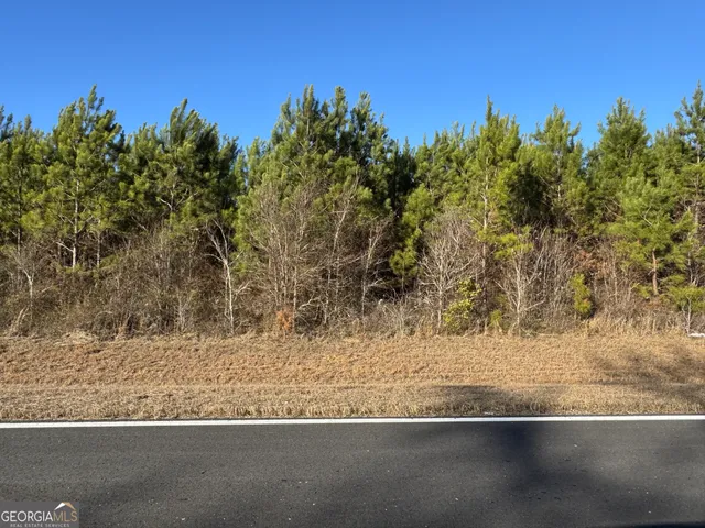 $259,900 | Lot 3 A Whitfield Road, Elko, GA 31025