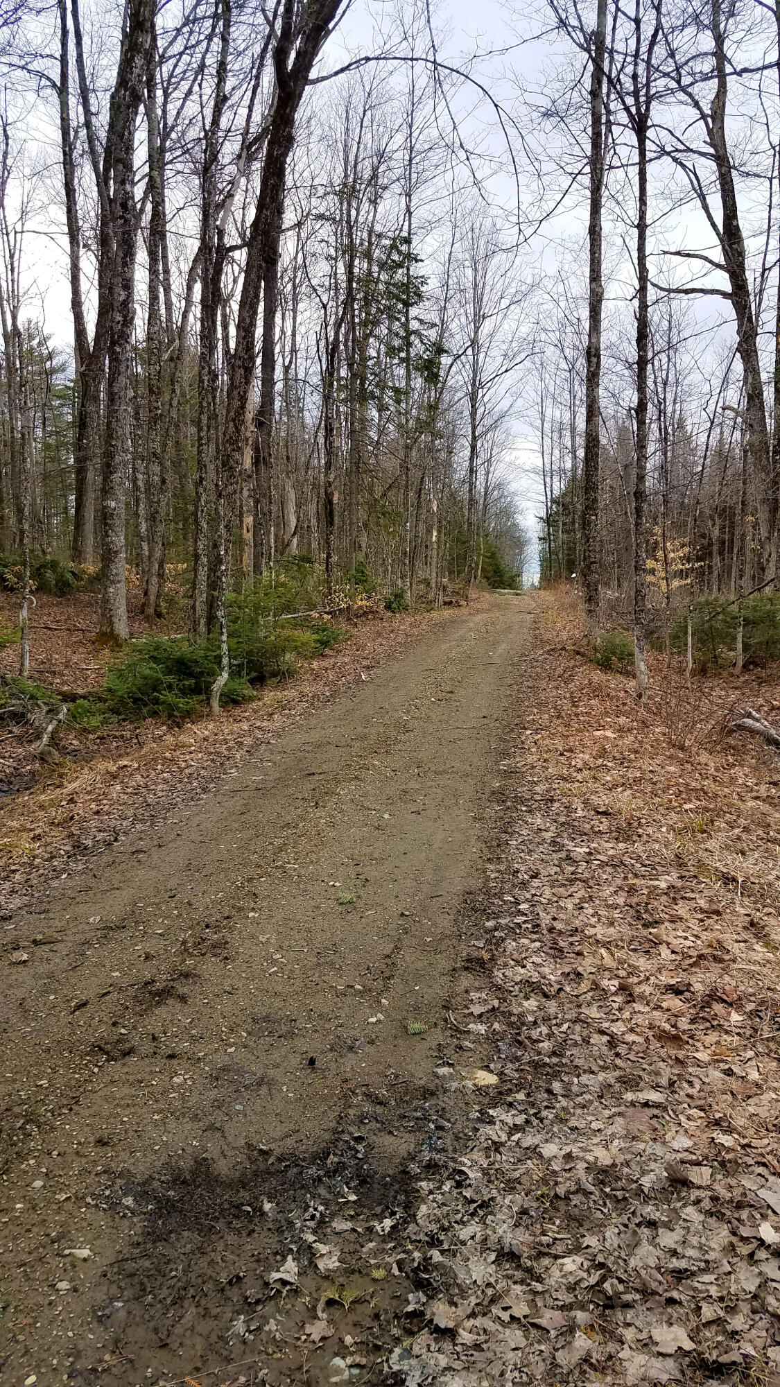 Lot 30 Charleston Road Dexter, ME 04930 - Photo 21 of 42 Lot 30 (17 of 38)