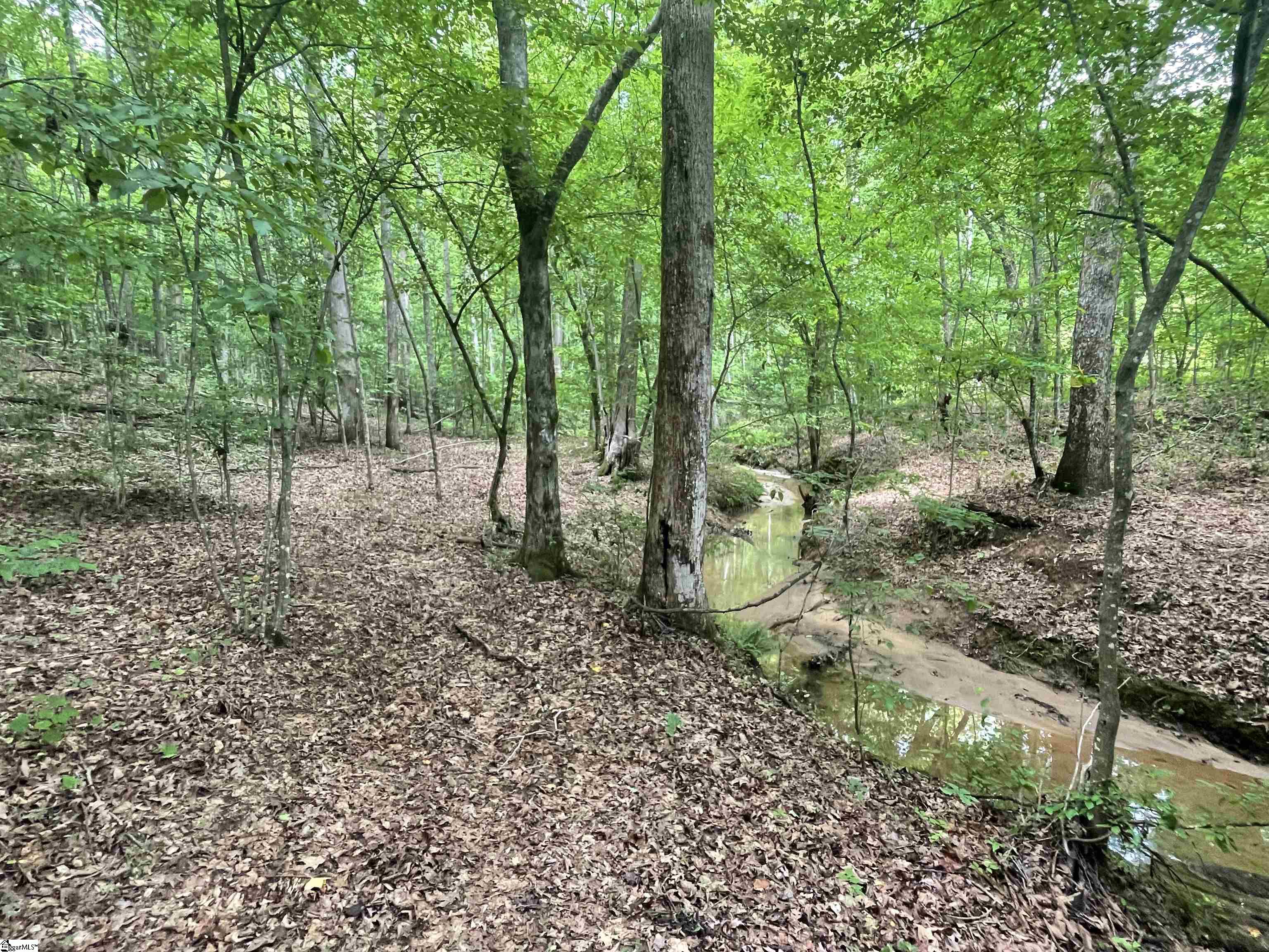 156 Zion School Road Easley, SC 29642 - Photo 28 of 42