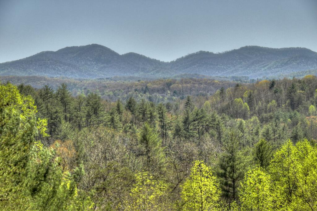 1599 My Mountain Road Morganton, GA 30560 - Photo 4 of 48 Gallery Image 4