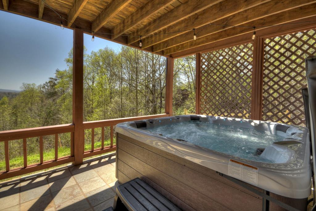 1599 My Mountain Road Morganton, GA 30560 - Photo 41 of 48 Gallery Image 41