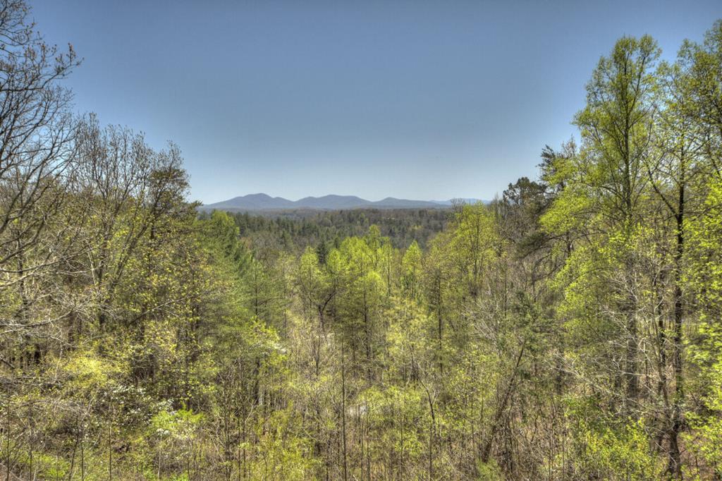 1599 My Mountain Road Morganton, GA 30560 - Photo 46 of 48 Gallery Image 46