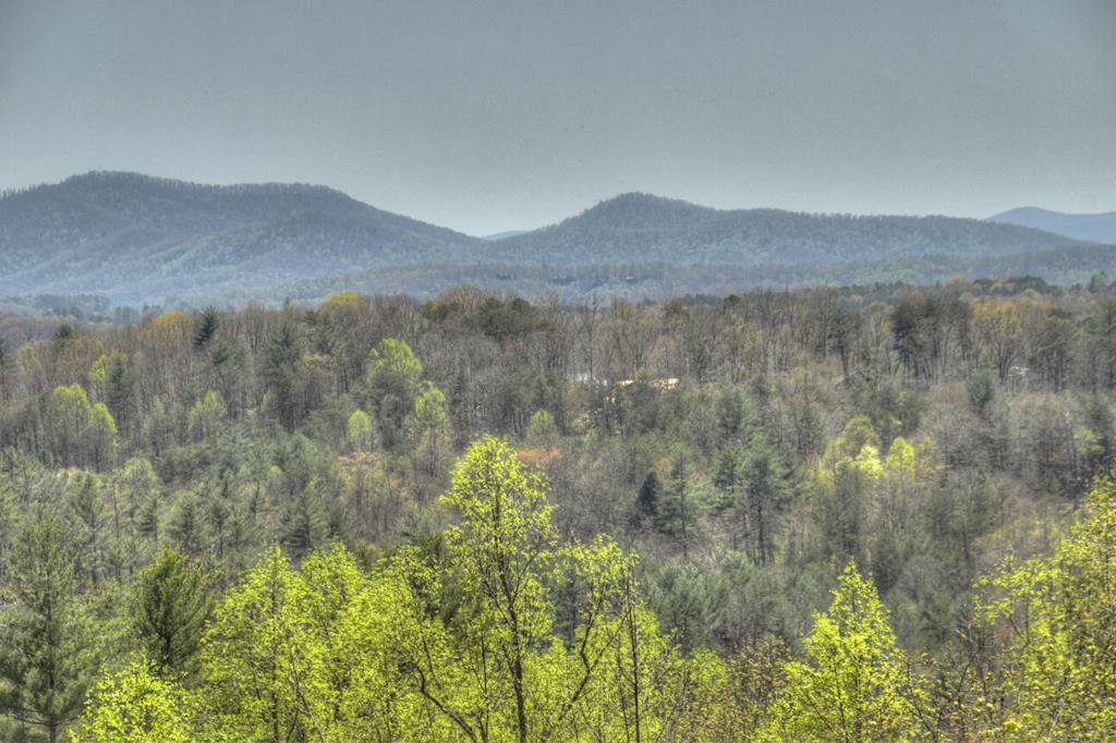 1599 My Mountain Road Morganton, GA 30560 - Photo 5 of 48 Gallery Image 5