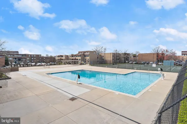 a picture of a brick wall with a tree