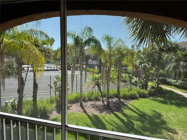 a view of a backyard