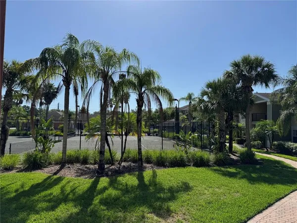 a view of a palm trees and garden