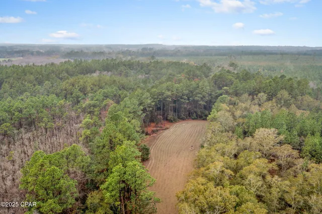 $69,999 | Xxx White Road, Unit 12 78 ACRES, Bonifay, FL 32425