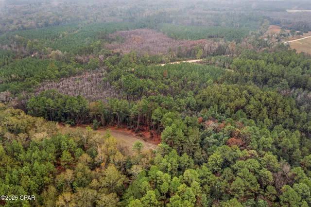 $69,999 | Xxx White Road, Unit 12 78 ACRES, Bonifay, FL 32425