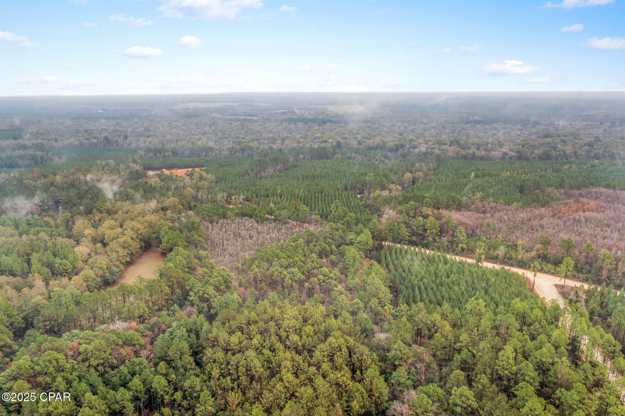 Xxx White Road, Unit 12 78 ACRES Bonifay, FL 32425 - Photo 15 of 15