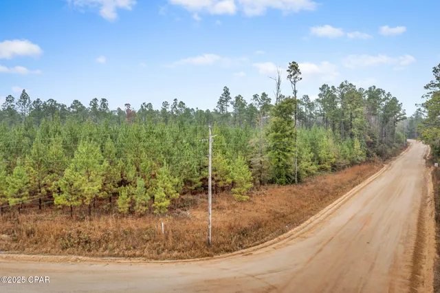 $69,999 | Xxx White Road, Unit 12 78 ACRES, Bonifay, FL 32425