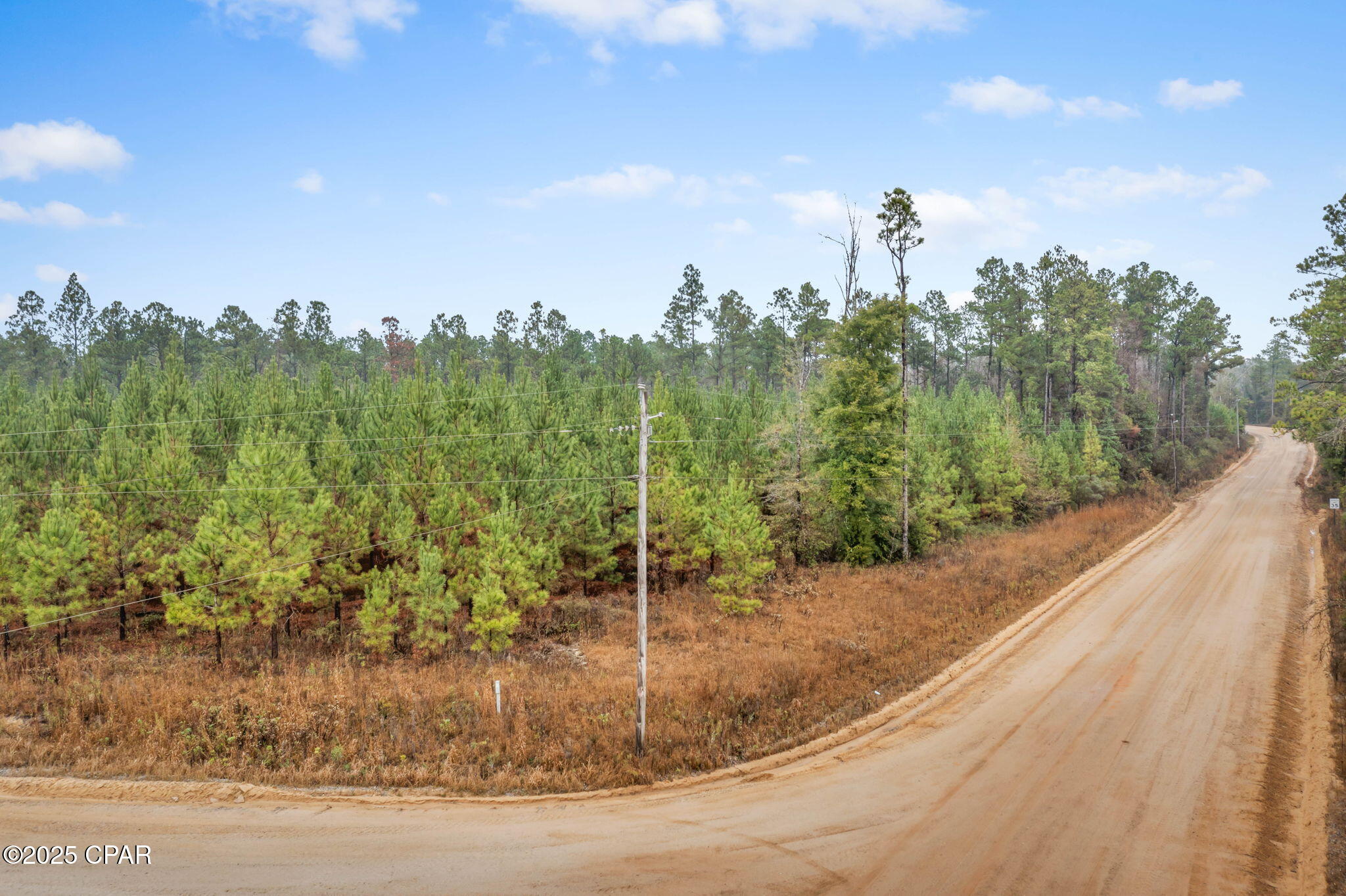 Xxx White Road, Unit 12 78 ACRES Bonifay, FL 32425 - Photo 2 of 15
