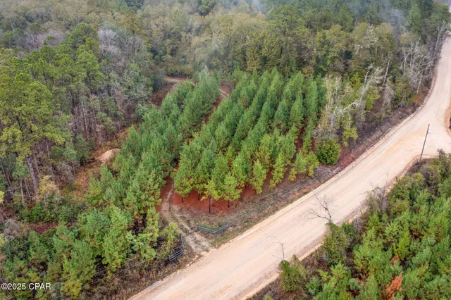 $69,999 | Xxx White Road, Unit 12 78 ACRES, Bonifay, FL 32425