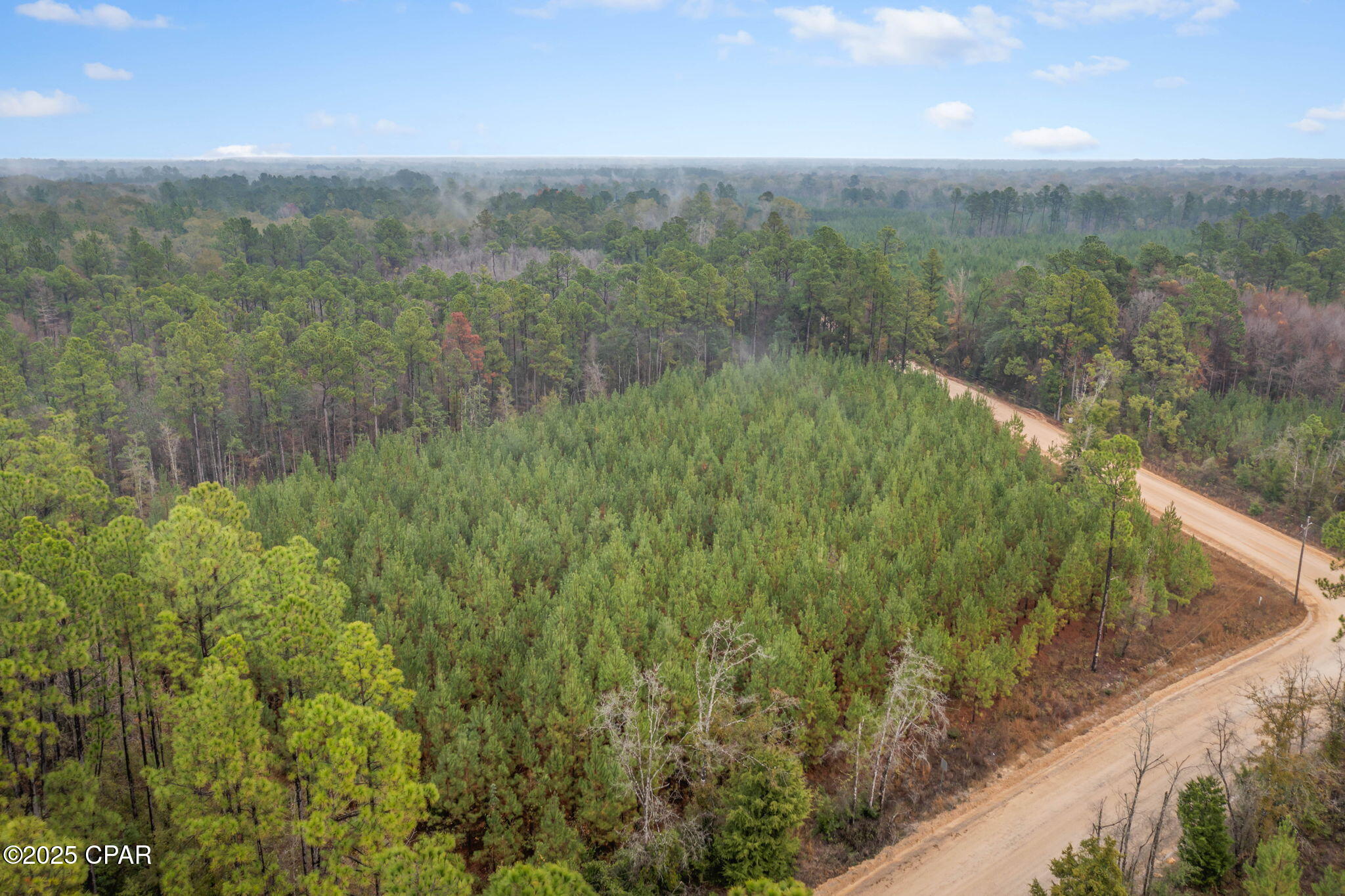 Xxx White Road, Unit 12 78 ACRES Bonifay, FL 32425 - Photo 4 of 15