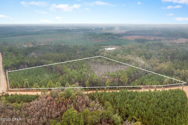 $69,999 | Xxx White Road, Unit 12 78 ACRES, Bonifay, FL 32425