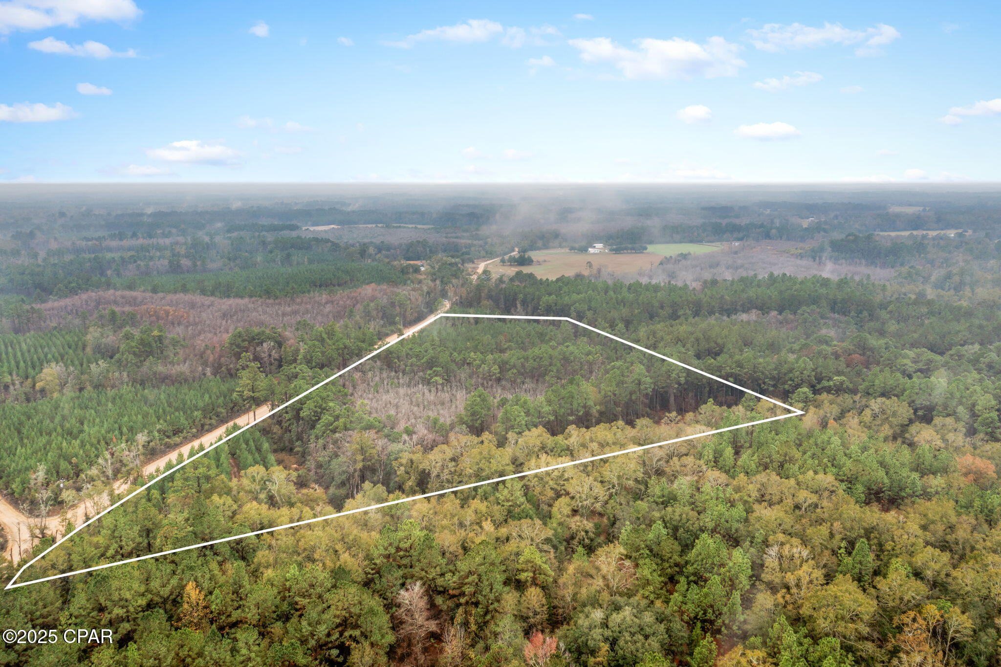Xxx White Road, Unit 12 78 ACRES Bonifay, FL 32425 - Photo 6 of 15