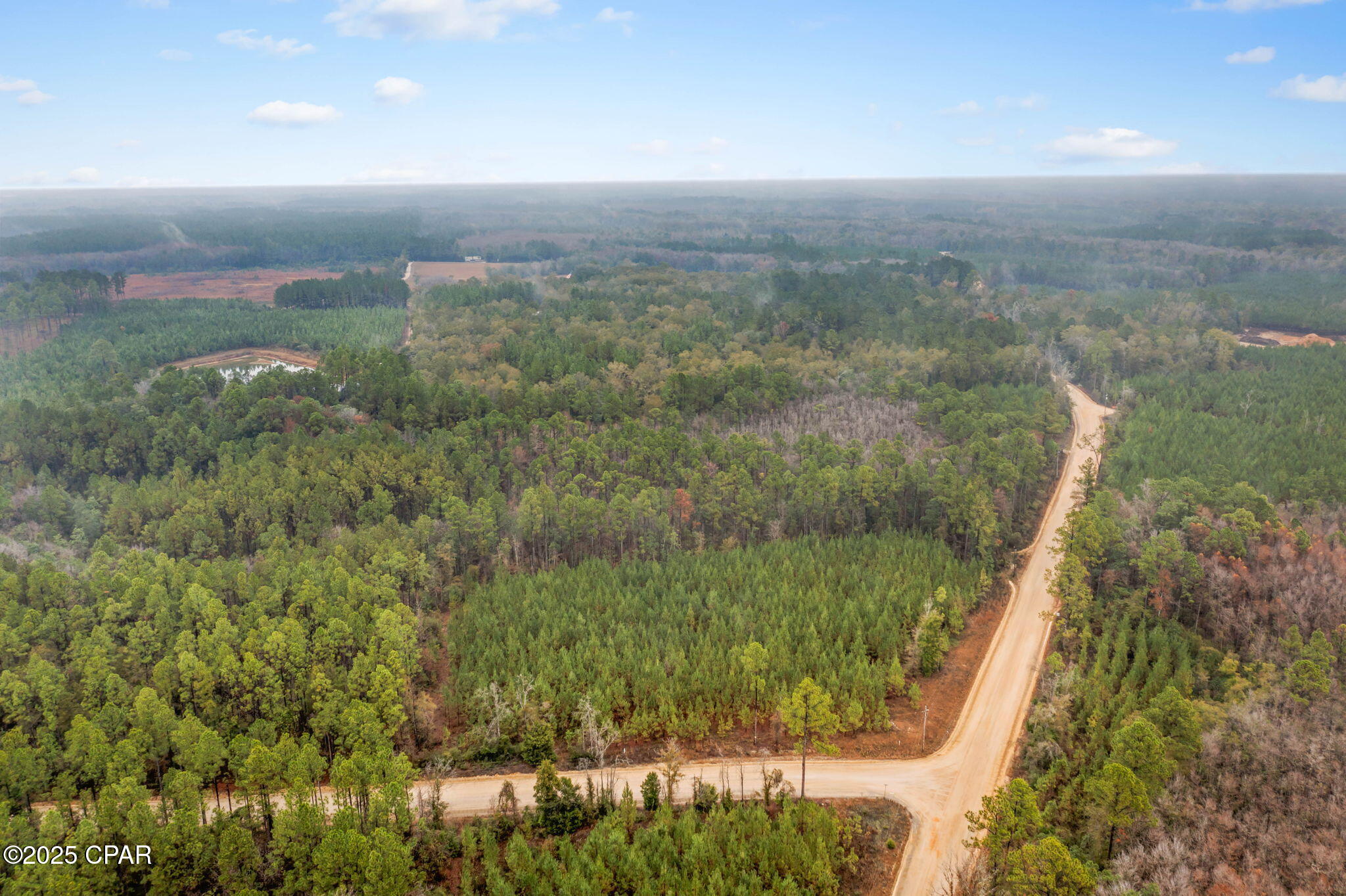Xxx White Road, Unit 12 78 ACRES Bonifay, FL 32425 - Photo 8 of 15