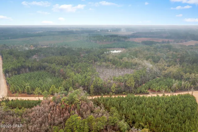 $69,999 | Xxx White Road, Unit 12 78 ACRES, Bonifay, FL 32425