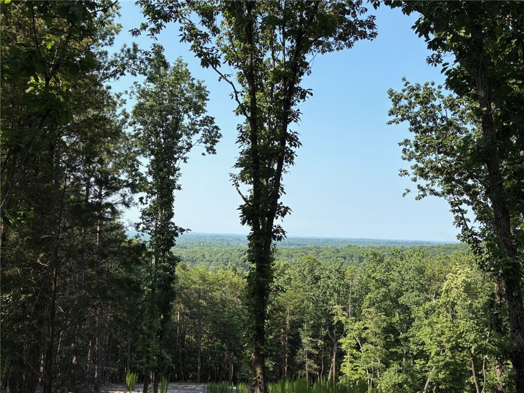 102 Long View Court Pickens, SC 29671 - Photo 11 of 16 Gallery Image 11